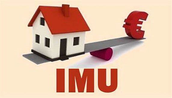 imu