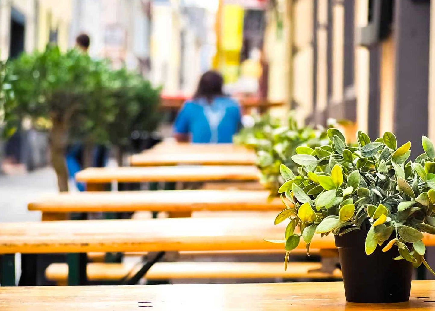 ISCRIZIONE AL SERVIZIO MENSA SCOLASTICA  A.S. 2026/2027 - SCADENZA 30 LUGLIO 2026