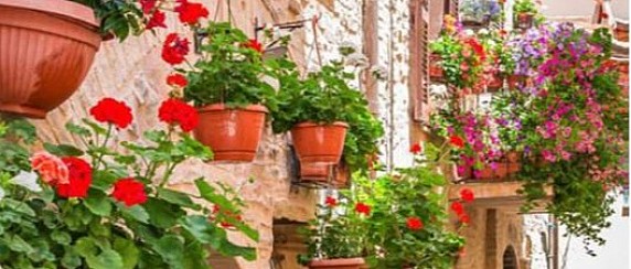 I° EDIZIONE DEL CONCORSO "MONTEBELLO IN FIORE"