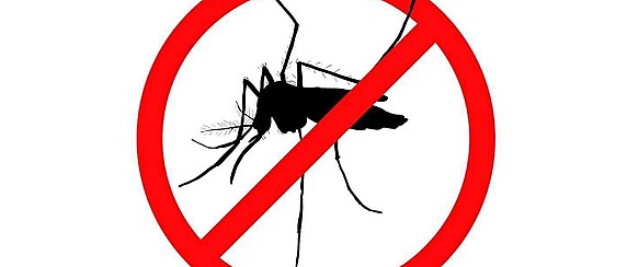 Servizio disinfestazione aree verdi