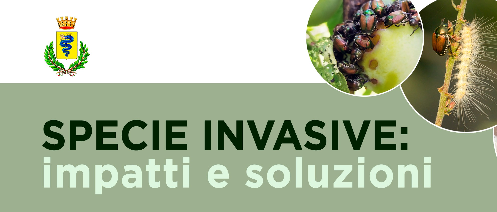 Immagine principale