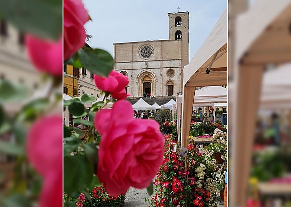 TORNA TODI FIORITA: ARTE, NATURA E COMUNITÀ NEL ‘CUORE’ DELLA CITTÀ