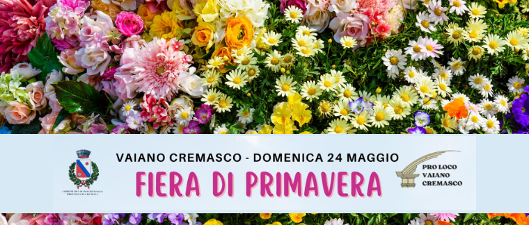 Immagine principale