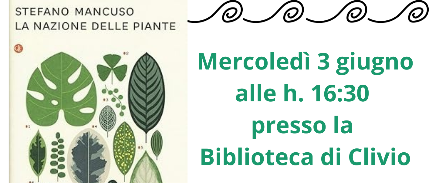 Immagine principale