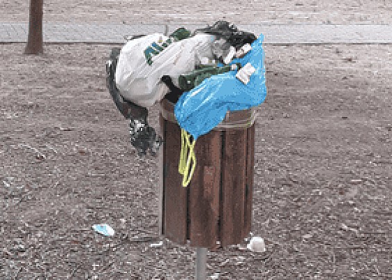Immagine non trovata