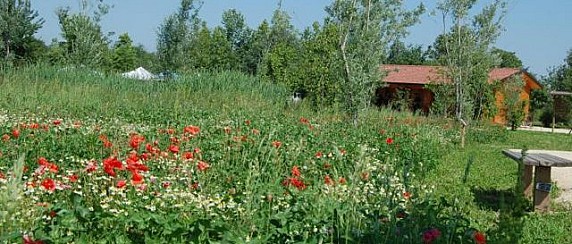 Parco del Serio: è di nuovo Festa di Primavera