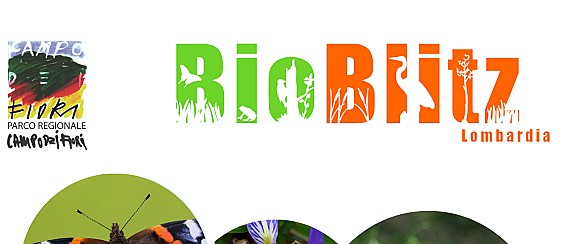 Bioblitz - Lombardia