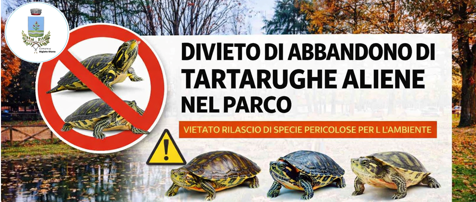 Immagine principale