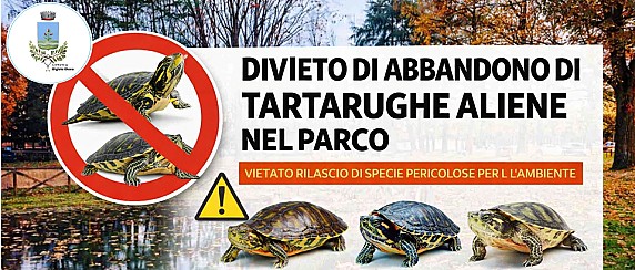NO all’abbandono delle tartarughe: manutenzione e tutela del laghetto del Parco Carducci