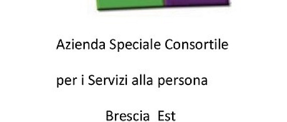 Ambito distrettuale n.3 Bs est