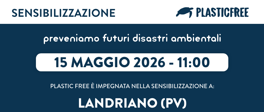 Immagine principale