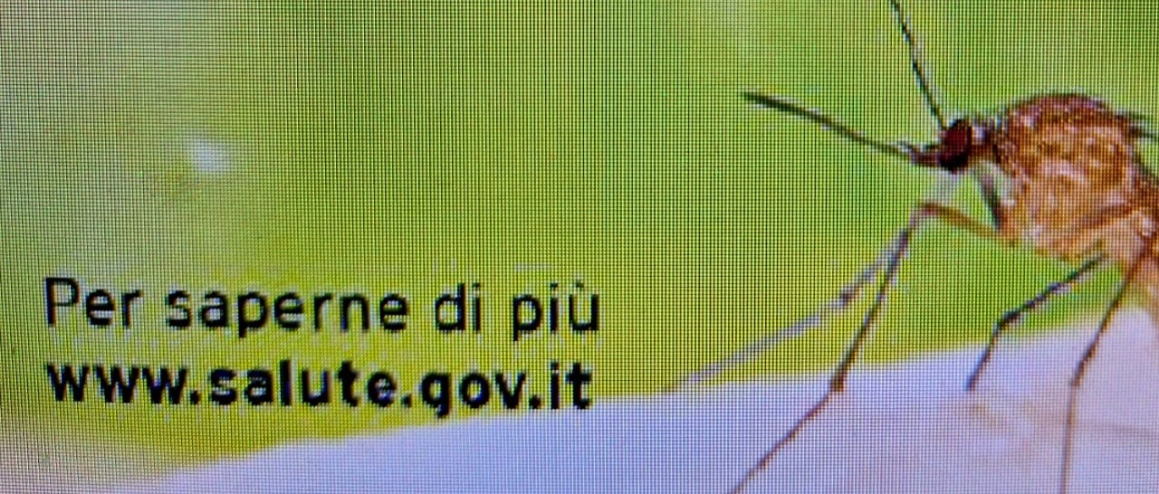 Consigli utili per difendersi dalle zanzare