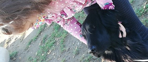 Lettura a otto zampe con Fosco e Trudi