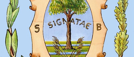 Consiglio Comunale