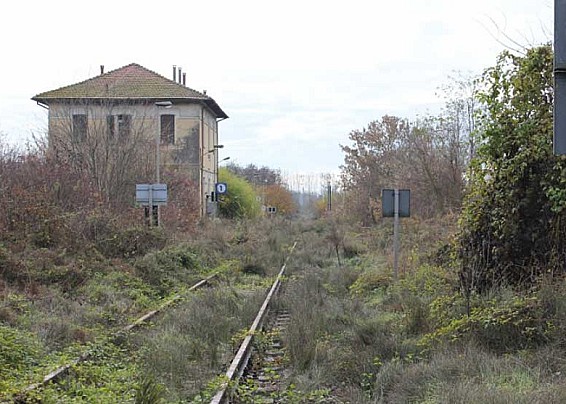 PREVENZIONE DI INCENDI E CADUTA ALBERI LUNGO LA SEDE FERROVIARIA A CARICO DI TUTTI I PROPRIETARI DI TERRENI CONFINANTI CON LE LINEE FERROVIARIE - Applicazione D.P.R.N.753/1980.