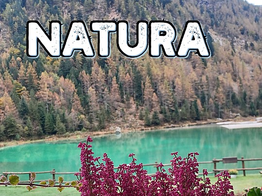 Natura