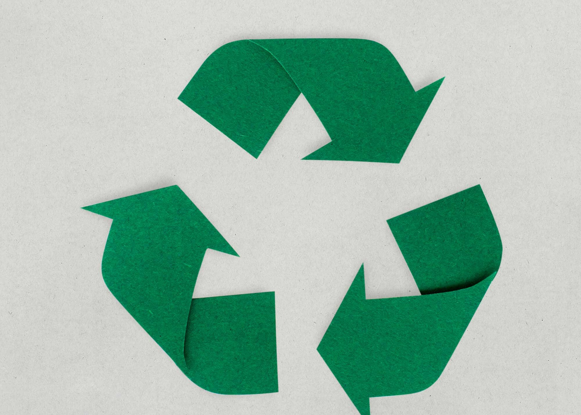 Giornata ecologica 22 maggio 2026 dettagli nel volantino allegato