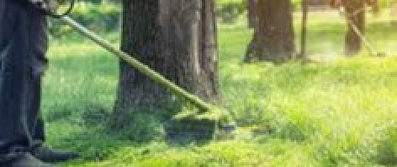 PULIZIA AREE RURALI E DEL CENTRO ABITATO DA STERPAGLIE, ERBACCE E TAGLIO SIEPI