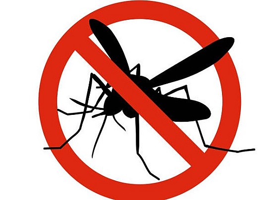 Avviso ai cittadini - Disinfestazione nelle aree verdi pubbliche e disinfestazione antilarvale nel centro abitato - GIOVEDI 21 maggio 2026 dalle ore 01.00 alle ore 06.00