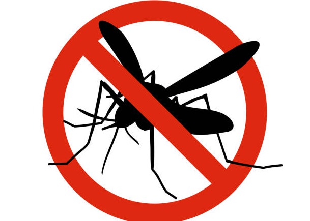 Avviso ai cittadini - Disinfestazione nelle aree verdi pubbliche e disinfestazione antilarvale nel centro abitato - GIOVEDI 21 maggio 2026 dalle ore 01.00 alle ore 06.00