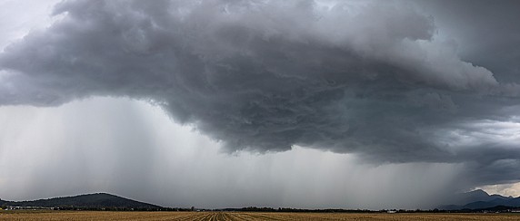AVVISO