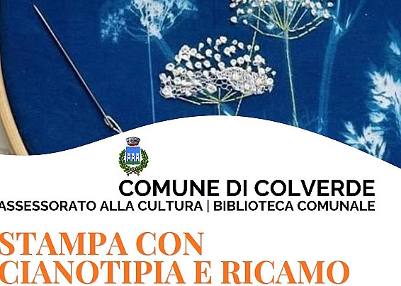 Immagine non trovata