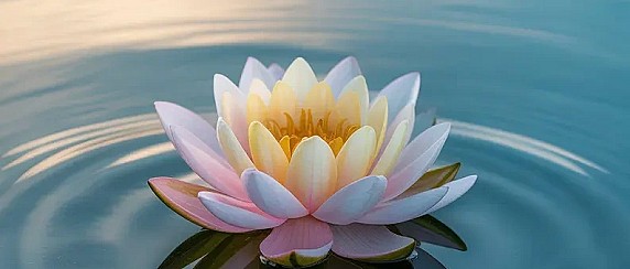 "Il dono della Mindfulness"
