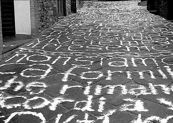 Immagine non trovata