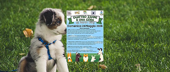 Quattro Zampe e una Coda al Parco OPAI - programma della giornata