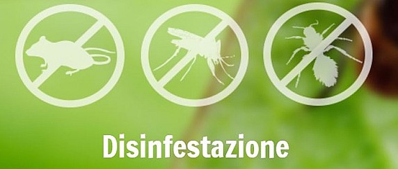 Avviso disinfestazione contro insetti alati e striscianti