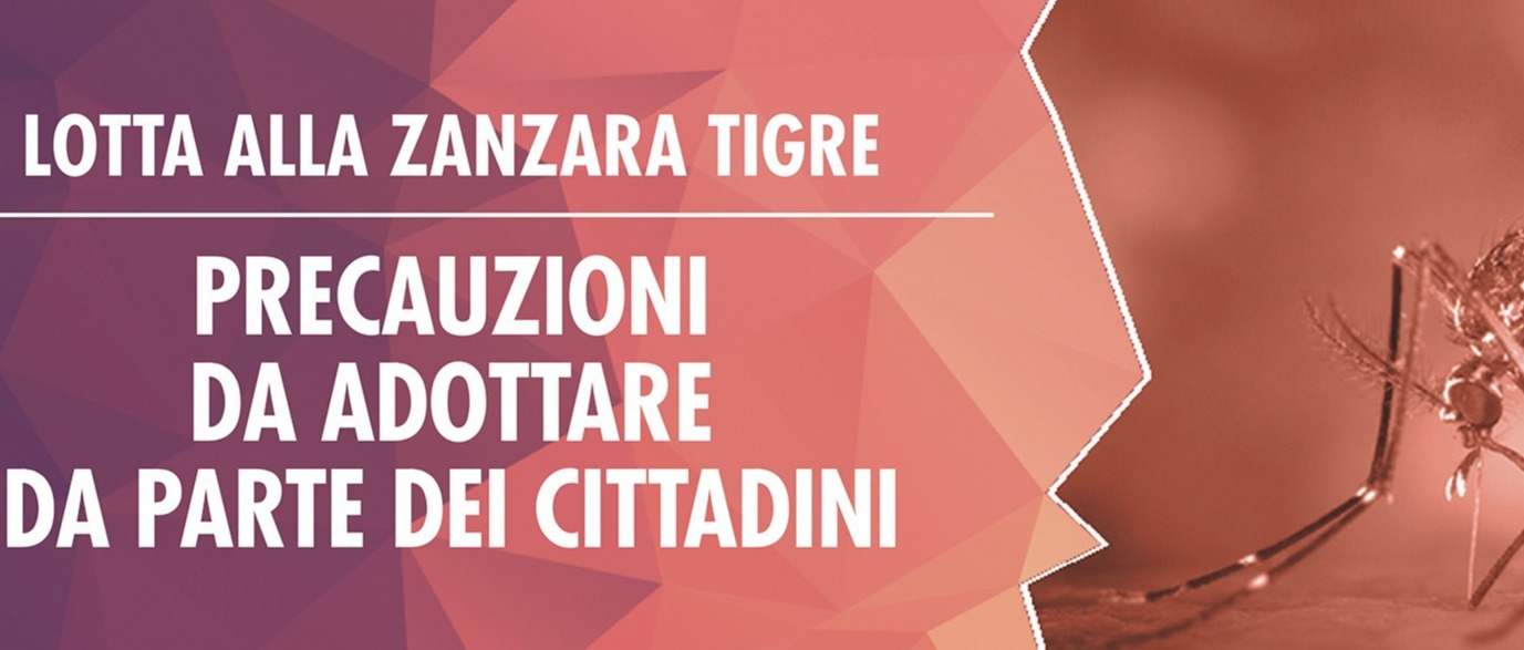 Immagine principale