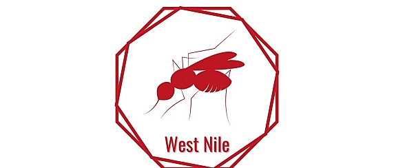 MISURE DI LOTTA PER IL CONTENIMENTO DELLE ZANZARE