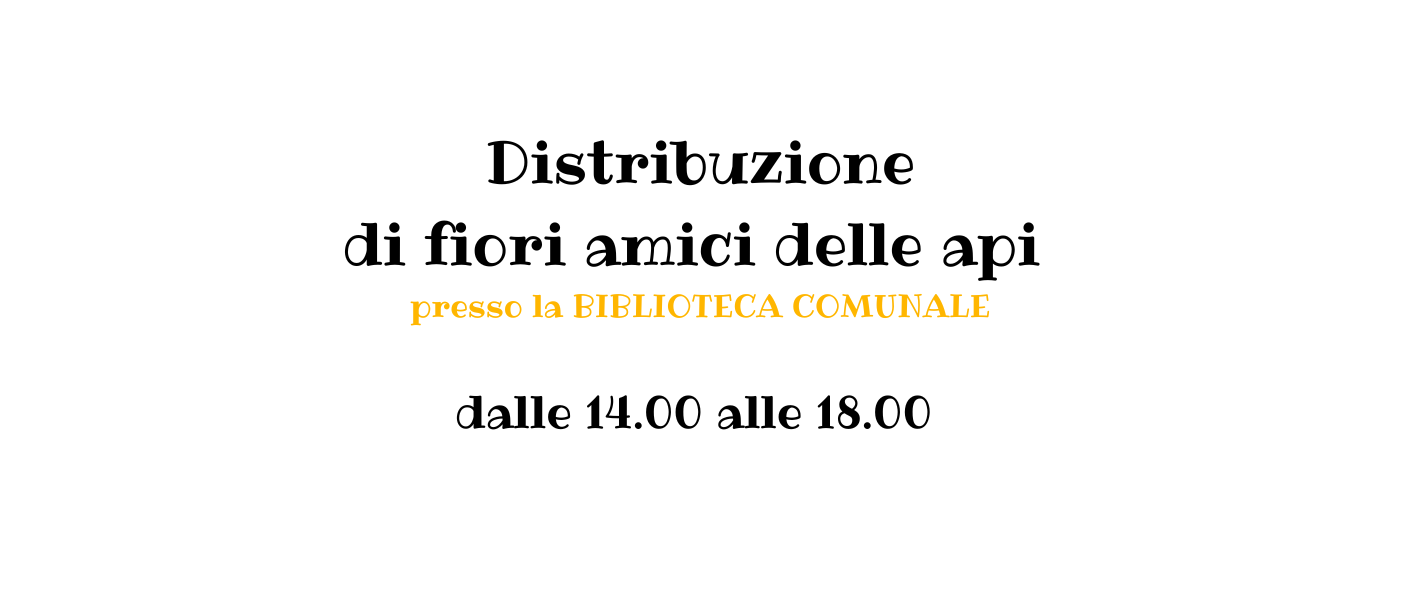 Immagine principale