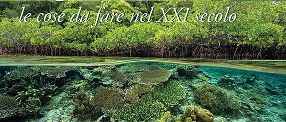 Giornata mondiale della Biodiversità