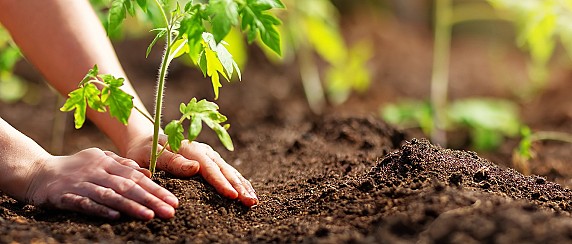 Progetto SOSTEGNO: il tuo futuro verde inizia qui!