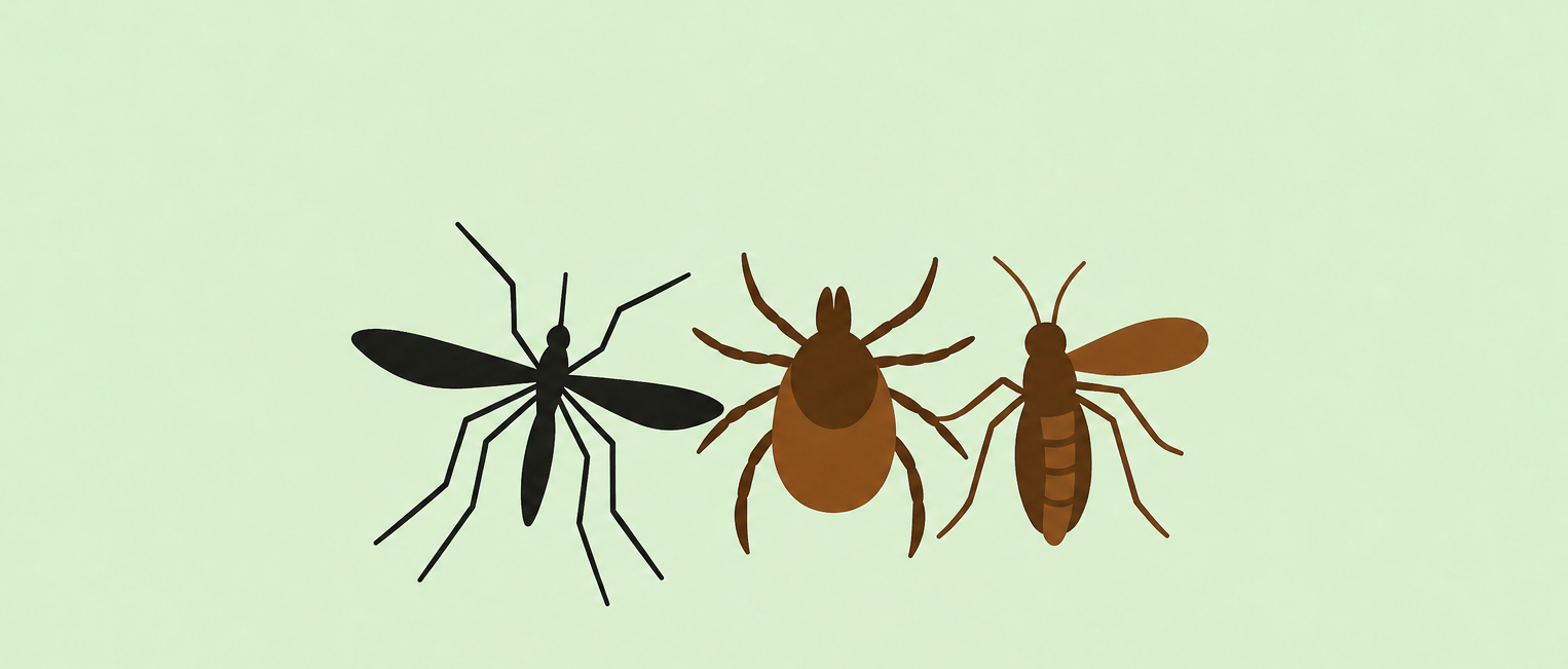 Arbovirosi da punture di zanzare e zecche, che cosa fare