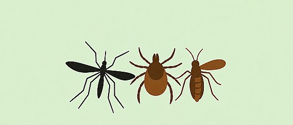 Arbovirosi da punture di zanzare e zecche, che cosa fare