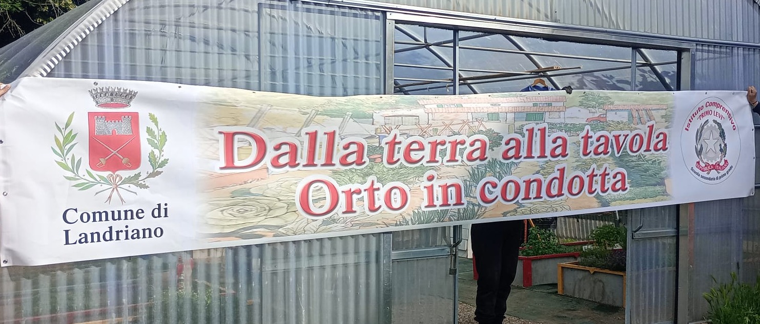Immagine principale