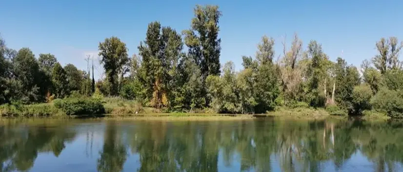 Biciclettata alla scoperta del Parco Oglio Nord