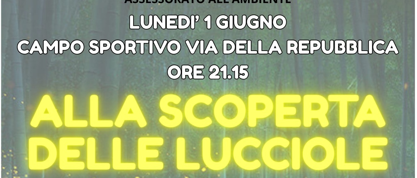 Alla scoperta delle lucciole