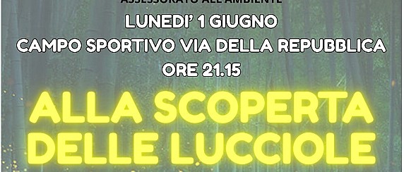 Alla scoperta delle lucciole