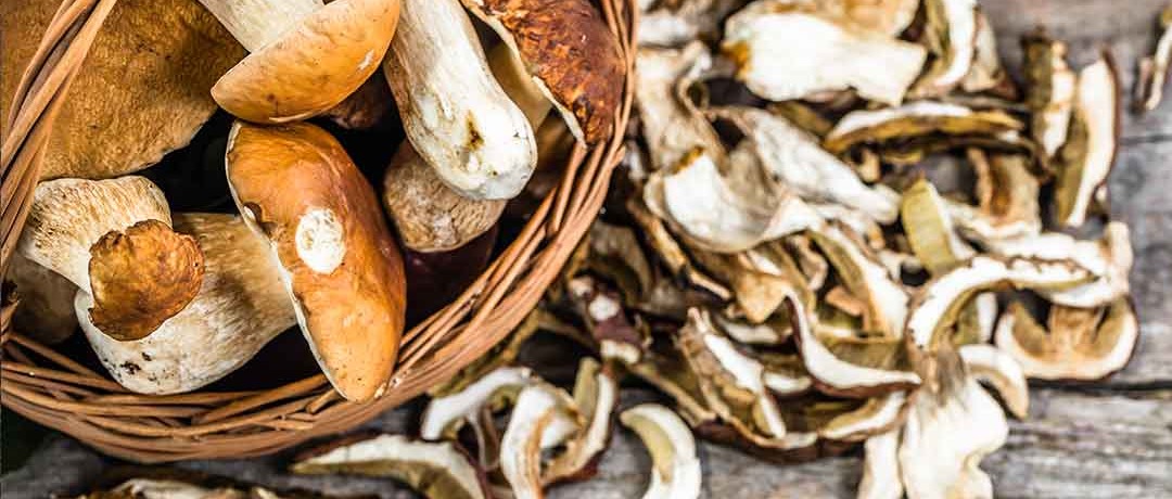 "Raccolta funghi 2026" nelle zone del Parco Naturale Regionale della Lessinia