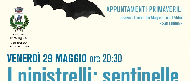 Immagine principale