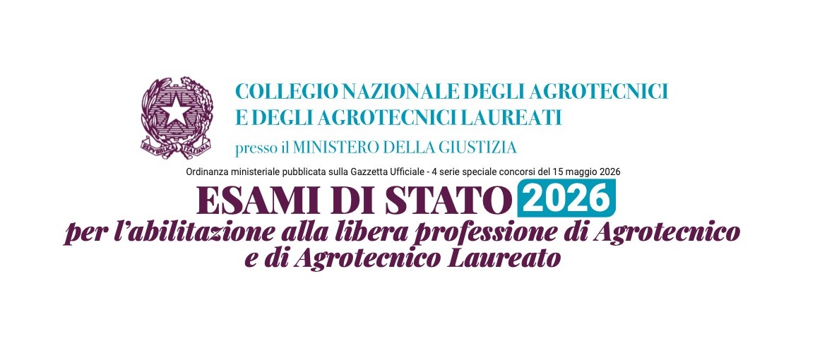 Immagine principale