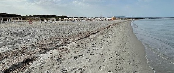 Inizio servizio di rimozione della posidonia spiaggiata dal lungomare di Arborea