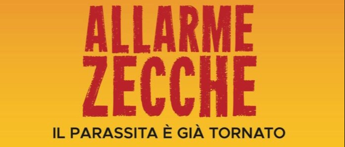 Immagine principale