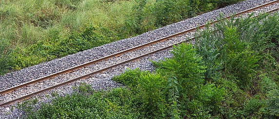 Obbligo di pulizia e contenimento della vegetazione su terreni adiacenti il tracciato ferroviario