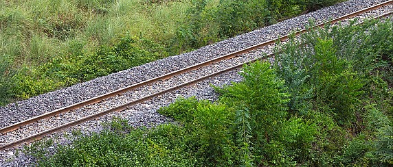 Obbligo di pulizia e contenimento della vegetazione su terreni adiacenti il tracciato ferroviario