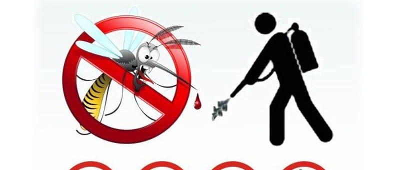 Avviso disinfestazione insetti alati e striscianti