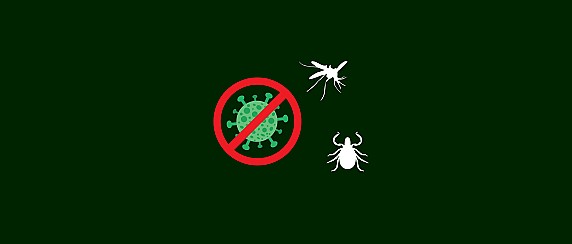Arbovirosi